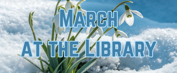 Image of snow covered field at sunset, text reads 