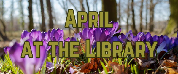 Image of snow covered field at sunset, text reads 